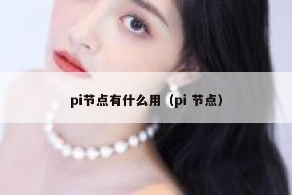pi节点有什么用(pi 节点) 第1张 pi节点有什么用(pi 节点) 第1张