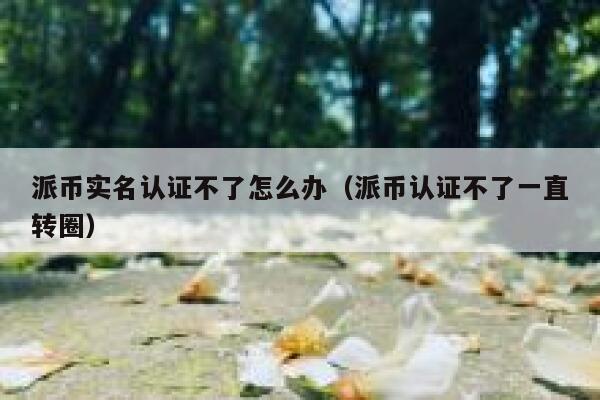 派币实名认证不了怎么办(派币认证不了一直转圈) 第1张 派币实名认证不了怎么办(派币认证不了一直转圈) 第1张