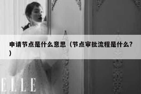 申请节点是什么意思(节点审批流程是什么?) 第1张 申请节点是什么意思(节点审批流程是什么?) 第1张
