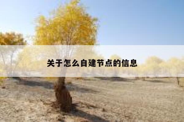 关于怎么自建节点的信息 第1张