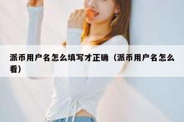 派币用户名怎么填写才正确（派币用户名怎么看） 第1张