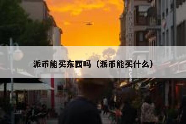 派币能买东西吗（派币能买什么） 第1张