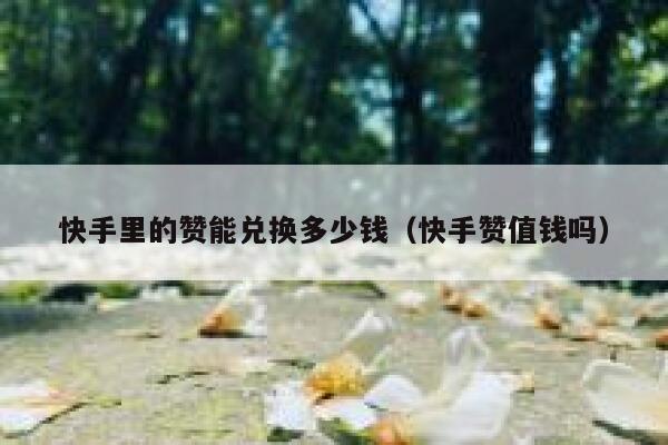 快手里的赞能兑换多少钱（快手赞值钱吗） 第1张