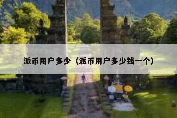 派币用户多少（派币用户多少钱一个） 第1张