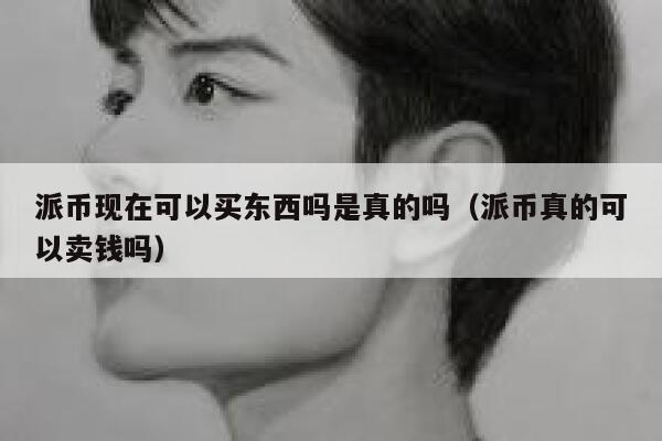 派币现在可以买东西吗是真的吗（派币真的可以卖钱吗） 第1张