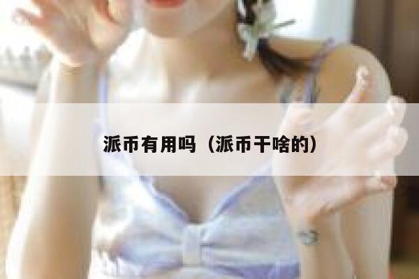 派币有用吗（派币干啥的） 第1张