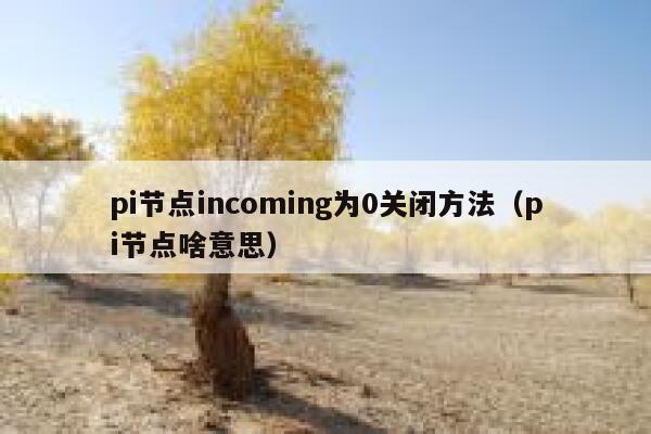 pi节点incoming为0关闭方法(pi节点啥意思) 第1张 pi节点incoming为0关闭方法(pi节点啥意思) 第1张