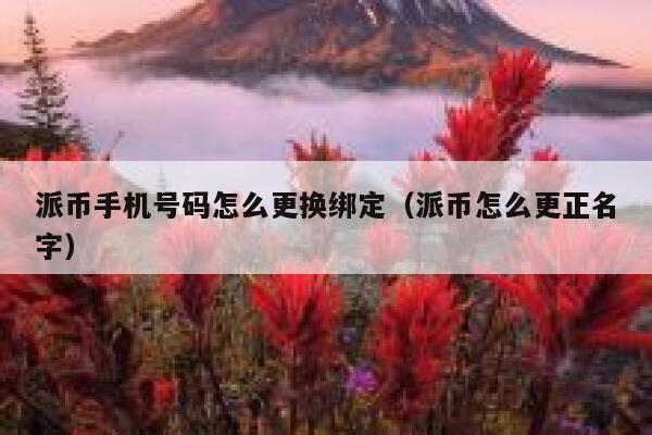 派币手机号码怎么更换绑定（派币怎么更正名字） 第1张