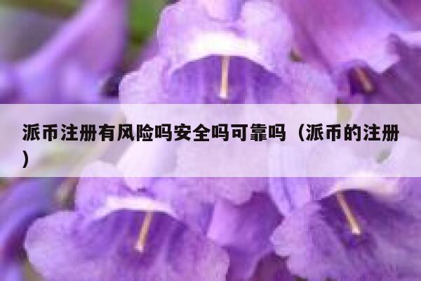 派币注册有风险吗安全吗可靠吗（派币的注册） 第1张