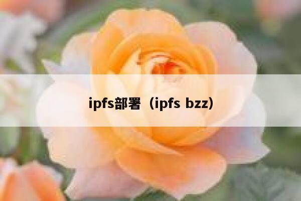 ipfs部署（ipfs bzz） 第1张