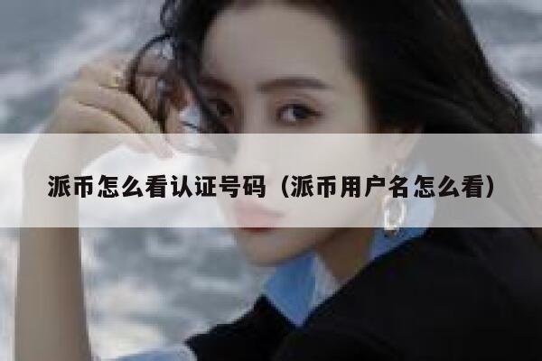 派币怎么看认证号码（派币用户名怎么看） 第1张