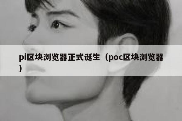 pi区块浏览器正式诞生(poc区块浏览器) 第1张 pi区块浏览器正式诞生(poc区块浏览器) 第1张