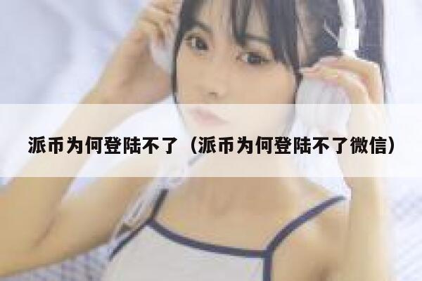 派币为何登陆不了（派币为何登陆不了微信） 第1张