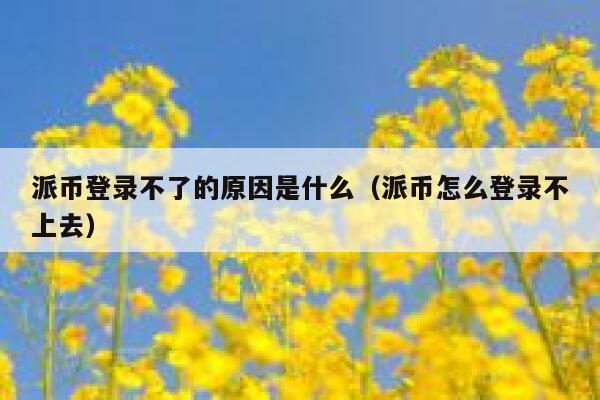 派币登录不了的原因是什么(派币怎么登录不上去) 第1张 派币登录不了的原因是什么(派币怎么登录不上去) 第1张
