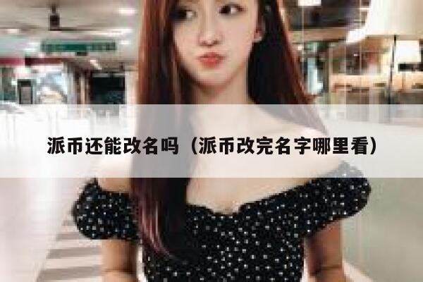 派币还能改名吗（派币改完名字哪里看） 第1张