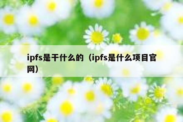 ipfs是干什么的（ipfs是什么项目官网） 第1张