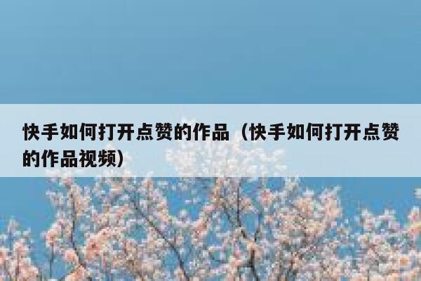 快手如何打开点赞的作品（快手如何打开点赞的作品视频） 第1张