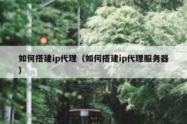 如何搭建ip代理（如何搭建ip代理服务器） 第1张
