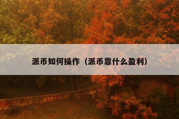 派币如何操作（派币靠什么盈利） 第1张