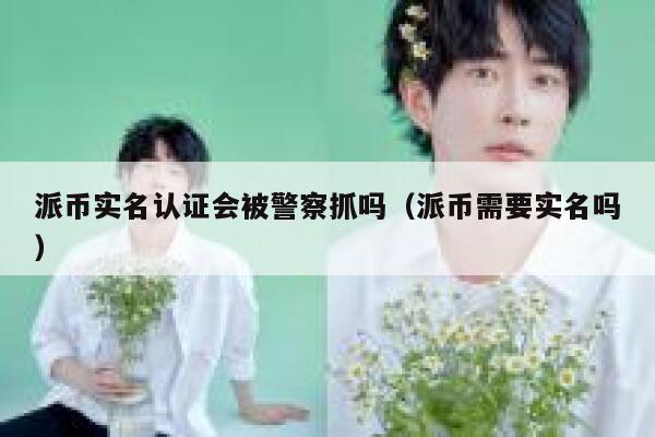 派币实名认证会被警察抓吗（派币需要实名吗） 第1张