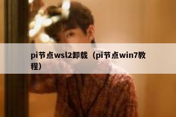 pi节点wsl2卸载（pi节点win7教程） 第1张