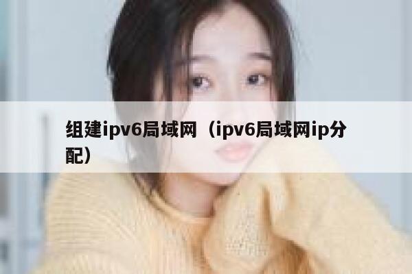 组建ipv6局域网（ipv6局域网ip分配） 第1张