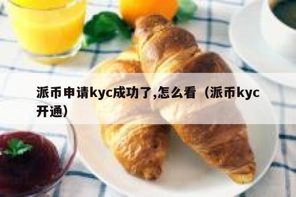 派币申请kyc成功了,怎么看（派币kyc开通） 第1张