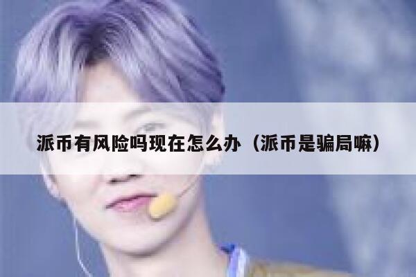 派币有风险吗现在怎么办（派币是骗局嘛） 第1张