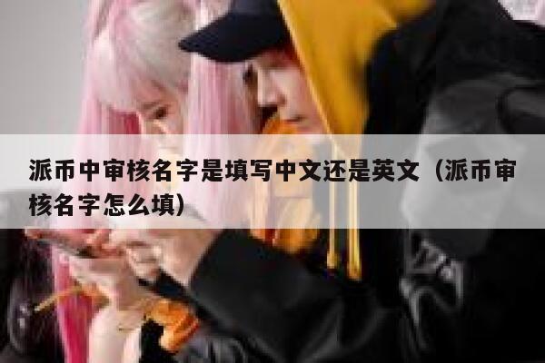 派币中审核名字是填写中文还是英文（派币审核名字怎么填） 第1张
