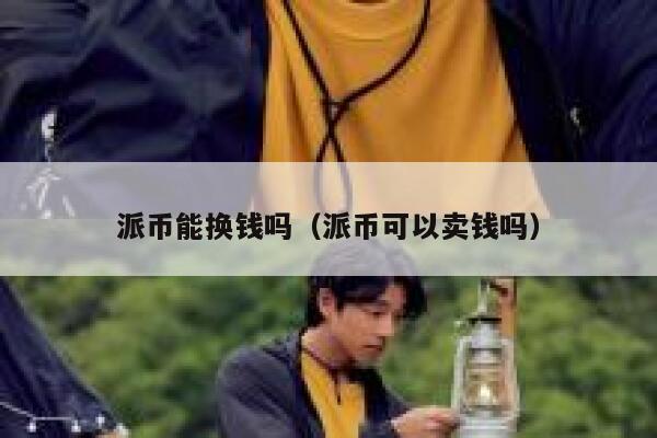 派币能换钱吗(派币可以卖钱吗) 第1张 派币能换钱吗(派币可以卖钱吗) 第1张