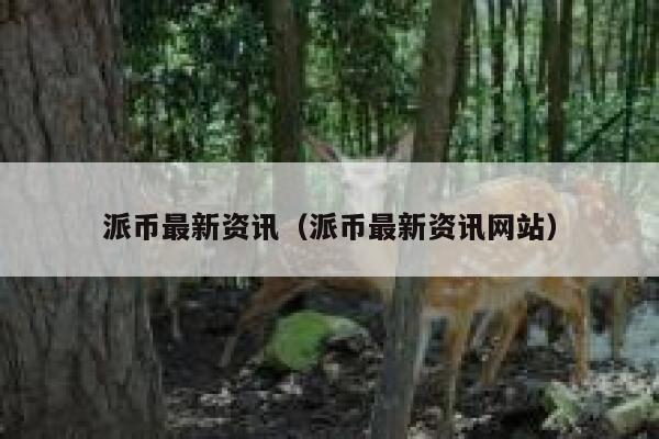 派币最新资讯(派币最新资讯网站) 第1张 派币最新资讯(派币最新资讯网站) 第1张