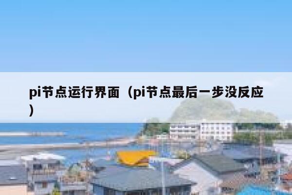 pi节点运行界面(pi节点最后一步没反应) 第1张 pi节点运行界面(pi节点最后一步没反应) 第1张