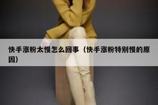 快手涨粉太慢怎么回事（快手涨粉特别慢的原因） 第1张