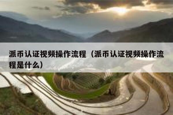 派币认证视频操作流程(派币认证视频操作流程是什么) 第1张 派币认证视频操作流程(派币认证视频操作流程是什么) 第1张