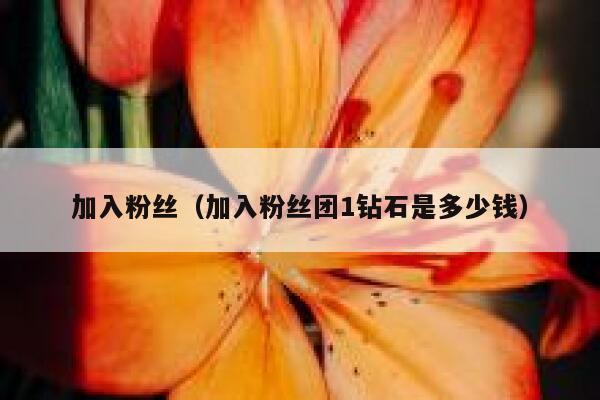 加入粉丝(加入粉丝团1钻石是多少钱) 第1张 加入粉丝(加入粉丝团1钻石是多少钱) 第1张