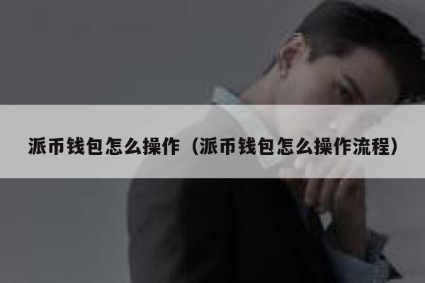 派币钱包怎么操作(派币钱包怎么操作流程) 第1张 派币钱包怎么操作(派币钱包怎么操作流程) 第1张
