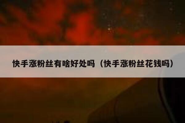 快手涨粉丝有啥好处吗（快手涨粉丝花钱吗） 第1张
