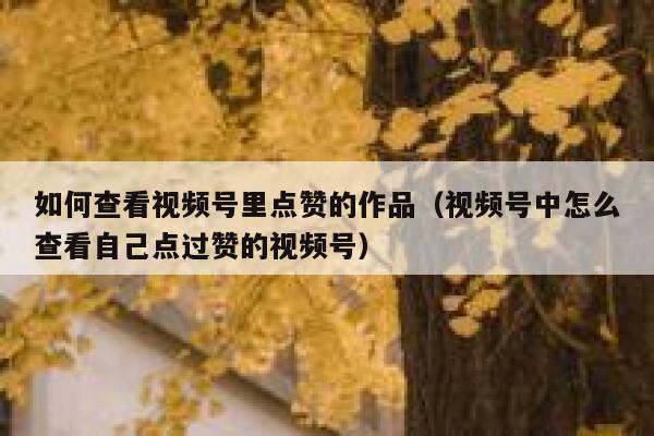 如何查看视频号里点赞的作品（视频号中怎么查看自己点过赞的视频号） 第1张