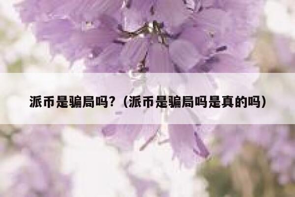 派币是骗局吗?(派币是骗局吗是真的吗) 第1张 派币是骗局吗?(派币是骗局吗是真的吗) 第1张
