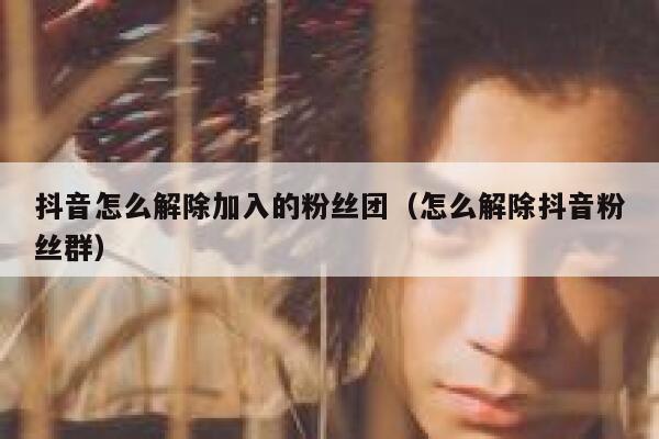 抖音怎么解除加入的粉丝团（怎么解除抖音粉丝群） 第1张