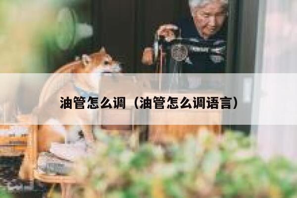 油管怎么调（油管怎么调语言） 第1张