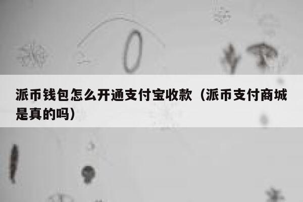 派币钱包怎么开通支付宝收款(派币支付商城是真的吗) 第1张 派币钱包怎么开通支付宝收款(派币支付商城是真的吗) 第1张