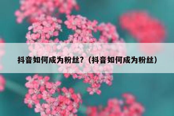 抖音如何成为粉丝?（抖音如何成为粉丝） 第1张