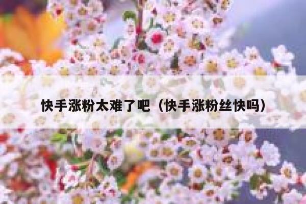 快手涨粉太难了吧（快手涨粉丝快吗） 第1张