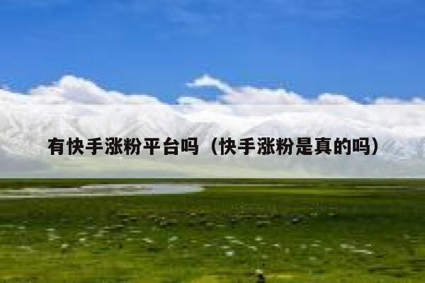 有快手涨粉平台吗（快手涨粉是真的吗） 第1张