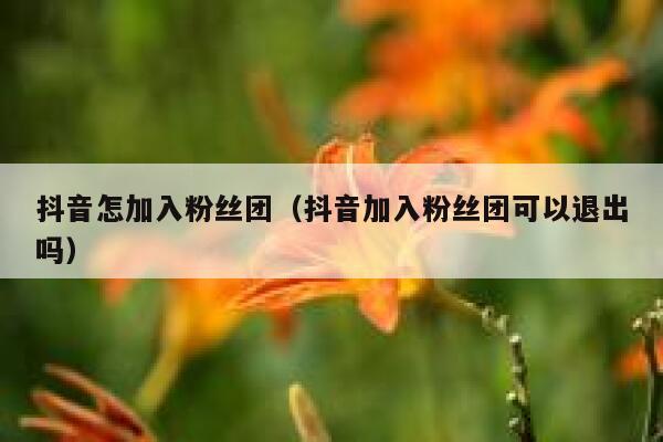 抖音怎加入粉丝团（抖音加入粉丝团可以退出吗） 第1张