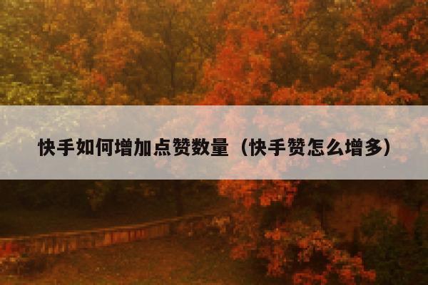 快手如何增加点赞数量（快手赞怎么增多） 第1张