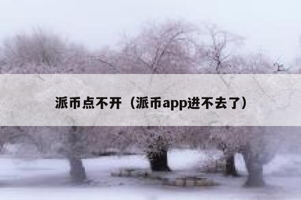 派币点不开（派币app进不去了） 第1张