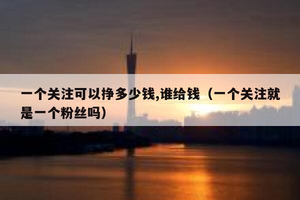 一个关注可以挣多少钱,谁给钱（一个关注就是一个粉丝吗） 第1张