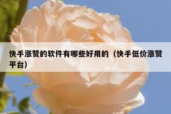 快手涨赞的软件有哪些好用的（快手低价涨赞平台） 第1张